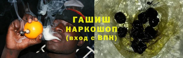 прущие грибы Армянск
