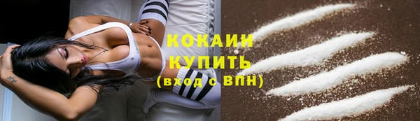 прущие грибы Армянск