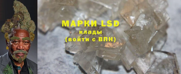 прущие грибы Армянск