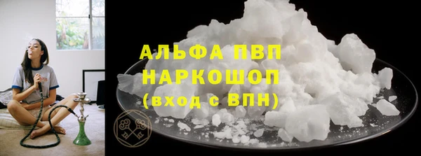 прущие грибы Армянск