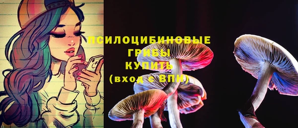 прущие грибы Армянск