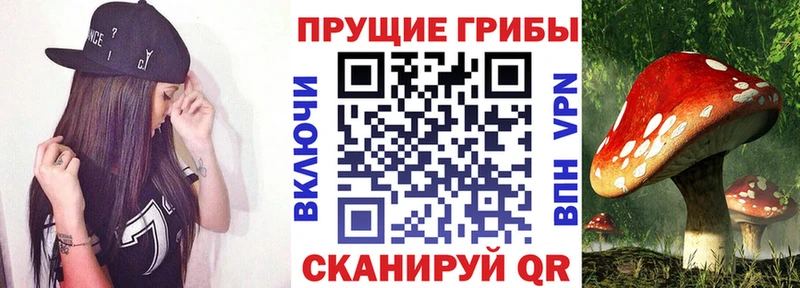 Псилоцибиновые грибы Magic Shrooms  Островной 